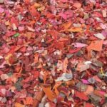 reprocess plastic scrap