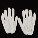 Warm Glove