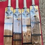 attack edition double blade scoop bat