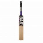 bas vampire brig attack k w bat