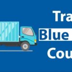 blue dart domestic courier service