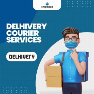 delhivery courier service