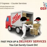 domestic express courier service