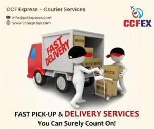 Domestic Express Courier Service 1 domestic express courier service