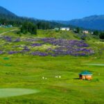 explore gulmarg pahalgam sonamarg