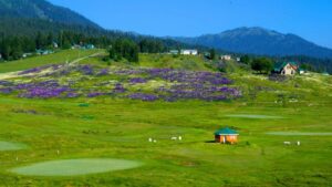 explore gulmarg pahalgam sonamarg