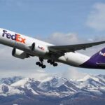 fedex international courier service