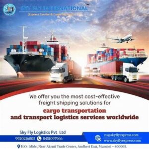 international courier cargo service