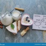 Dairy Ingredients