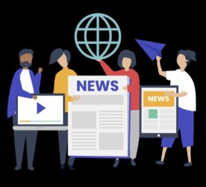 news portal development service