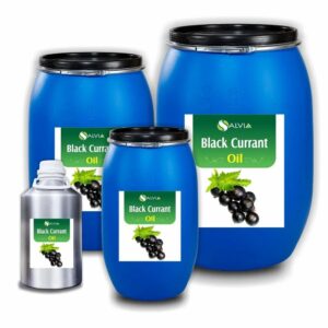 Black Currant Oil 1 black currant oil