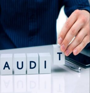company auditing service