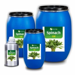 Spinach Oil 1 spinach oil