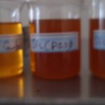synthetic fatliquors for leather