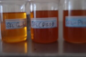 synthetic fatliquors for leather