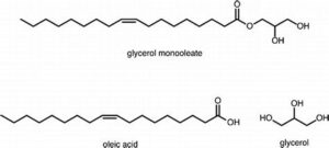 glycerol monooleate